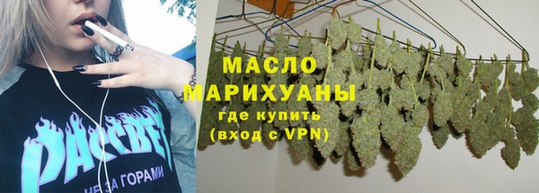 мет Алексин